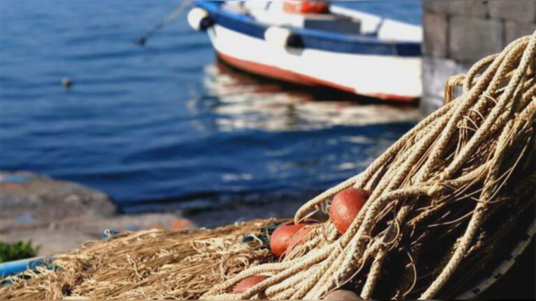 Possibilità di pesca per il 2023 nelle acque dell’UE e non UE.